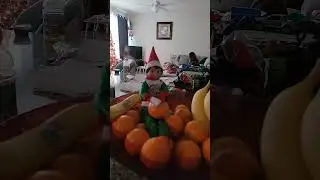 Elvis the elf on the shelve