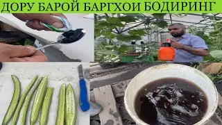 ДОРУ БАРОИ БАРГХОИ БОДИРИНГ ФИТАСПИРИН !!!