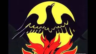 Tribe (Live)