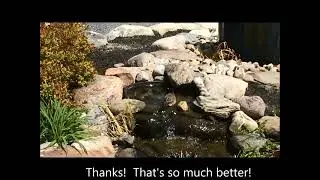 Thoughts from a Robin in Waterfall