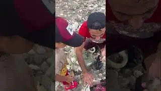 Serpme ile balık avı