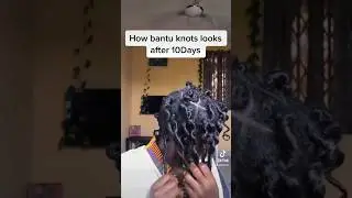 How Bantu knots looks after 2 weeks #naturalhair #4chair #afrohair #hairoil #bantuknots