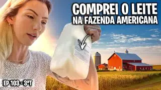 COMPRANDO O LEITE DE UMA FAZENDA AMERICANA
