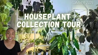 🌿Summer Glow-Up: ☀️My Houseplant Collection Tour 🪴