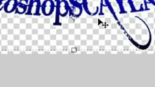 How to make a Transparent Signature !