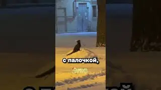 Важнейшая новость на сегодня