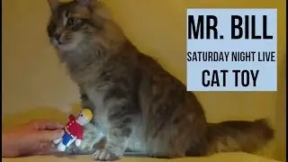 Mr. Bill Saturday Night Live Cat Toy