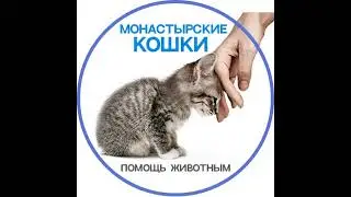 Идем искать котят на Дон📍*СБЕРБАНК*   4276 3500 1341 5698 на Наталью  Е привязан +79192547760