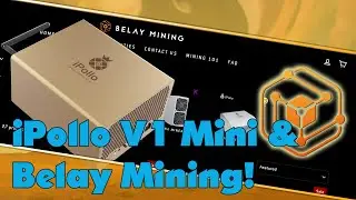 IPollo V1 Mini Gold review and settings PLUS Belay Mining shop experiance!