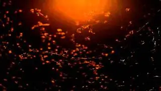 Phaeleh - Deep Within