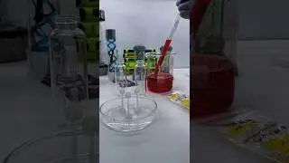 iq experiment