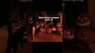 А вы ждëте Halloween 🍂🎃?