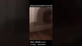 Ընկույզ կոտրելու նոր ձև 🤣 🤣 🤣