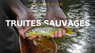 Le retour de l'ACTION en sèche !