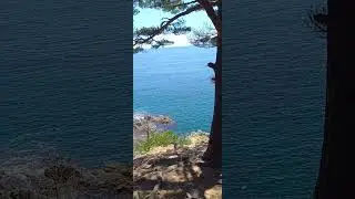 Бухта Черепаха. Витязь.