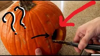 pumpkin