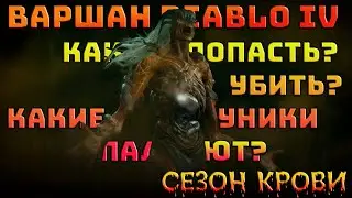 Варшан в Diablo 4. Какие уникалки падают? | Сезон крови | Diablo IV | Диабло 4 |