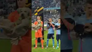 День бездомных животных @Маришкины делишки