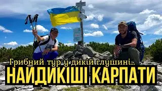 The wild nature!!! Hiking in the high mountains!!!