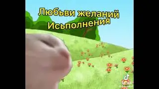 У меня сегодня день рождения