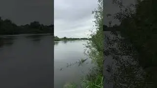 АДЛЕР.ЛЕТО 