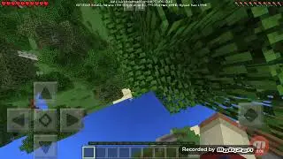 Vivendo na floresta