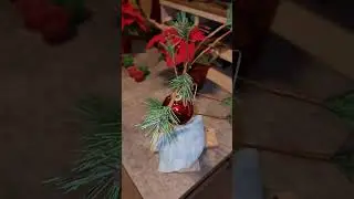 Charlie Brown Christmas Tree