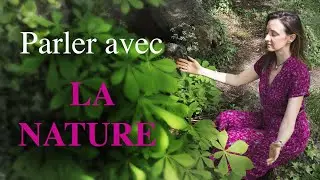 Comment contacter les énergies d'un arbre facilement ?
