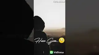 moj funny video