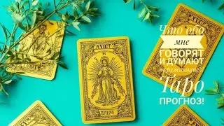 👂ЧТО О ВАС ДУМАЮТ ЛЮДИ, КОТОРЫЕ  ОКРУЖАЮТ?/ ТАРО РАСКЛАД! 👂