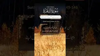 Surah Al Baqara Verse 145-146 RUKU 17 Translation in Urdu #quran #naatspk #shorts