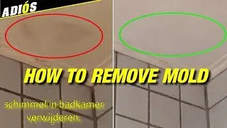 HOW TO REMOVE MOLD IN BATHROOM / Schimmel in de badkamer verwijderen.