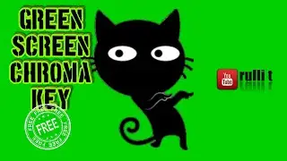 Green Screen HD - BLACK CAT DANCE animation 🔊 sound