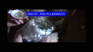Doi bărbați săltații de procurorii DIICOT după ce au introdu în țară  droguri de mare risc