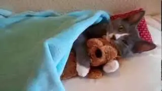 милашка