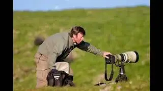 Top 10 wildlife Photographers