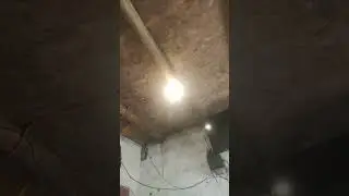 Alexa me acompaña