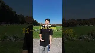 #учеба #университет