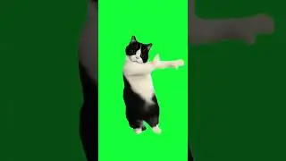 green screen animalrepellent, #greenscreen