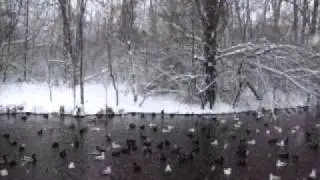 The Heaven in Winter