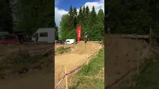 Шустрая Белка 2018