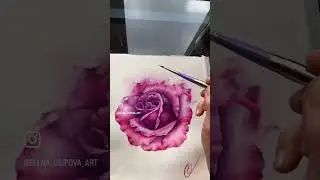 Небо и Роза 💜 #rose #art #painting #flowers #watercolor #artist #tattoo #draw #drawing #love