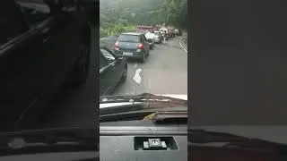 elephant walking on tamil nadu Karnataka border road