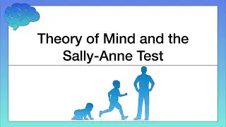 Theory of Mind and the Sally Anne Test