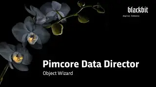 Pimcore Data Director: Pimcore Backend Forms (Object Wizards)