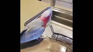rzhaka watch the video to the end