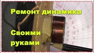 Speaker repair by own hands