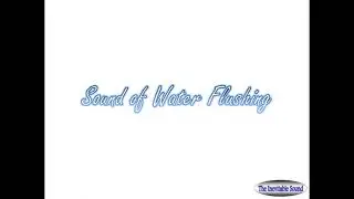 This sound will make you go to swim!