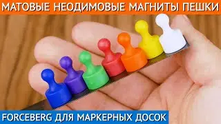 ♟Неодимовые магниты-пешки FORCEBERG | Матовые магниты для доски