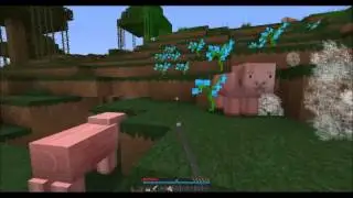 survival med Blodree EP 2